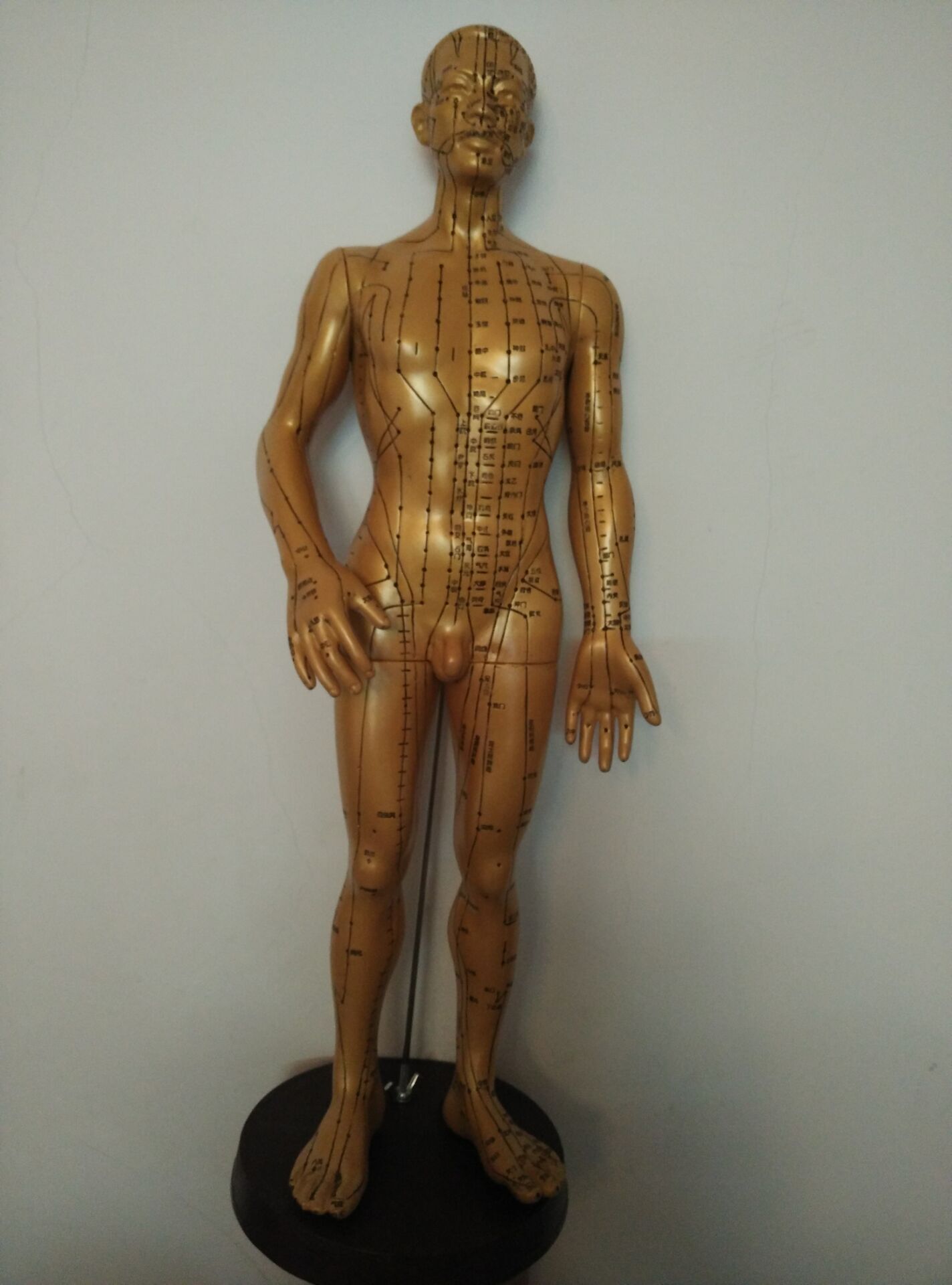 激光雕刻针灸铜人模型(男）