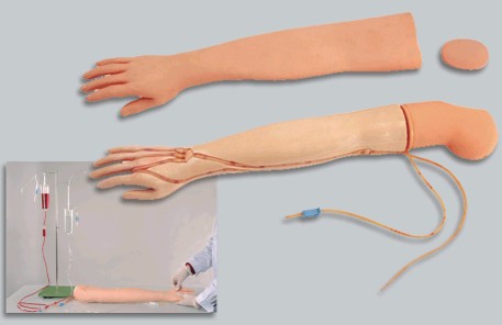 全功能静脉穿刺输液手臂模型YR-HS3