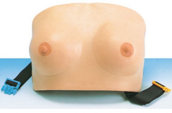 高级乳房检查模型（穿戴式）